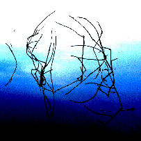 album-cover